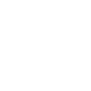 カーディアック・オーバードライブ (Cardiac Overdrive)