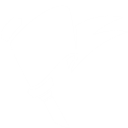 ラリー (Rally)