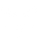 ケージ・ファイト (Cage Fight)