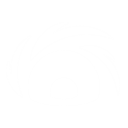 ディスラプター・ショット