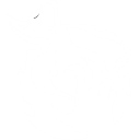 バイオティック・グラスプ (Biotic Grasp Alt Fire)