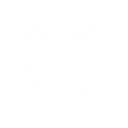 ディフェンス・マトリックス (Defense matrix)