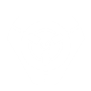 パルス・ボム (Pulse Bomb)