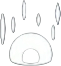 減速フィールド