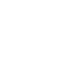 オーバーラン (Overrun)