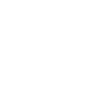 スティッキー・ボム