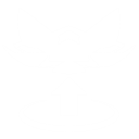 ペタル・プラットフォーム