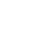 アダプティブ・シールド (Adaptive Shield)