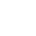 スピード・セラム