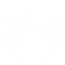 グラビトン・サージ